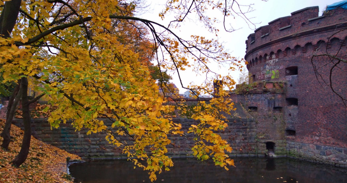 Калининград В Ноябре Фото