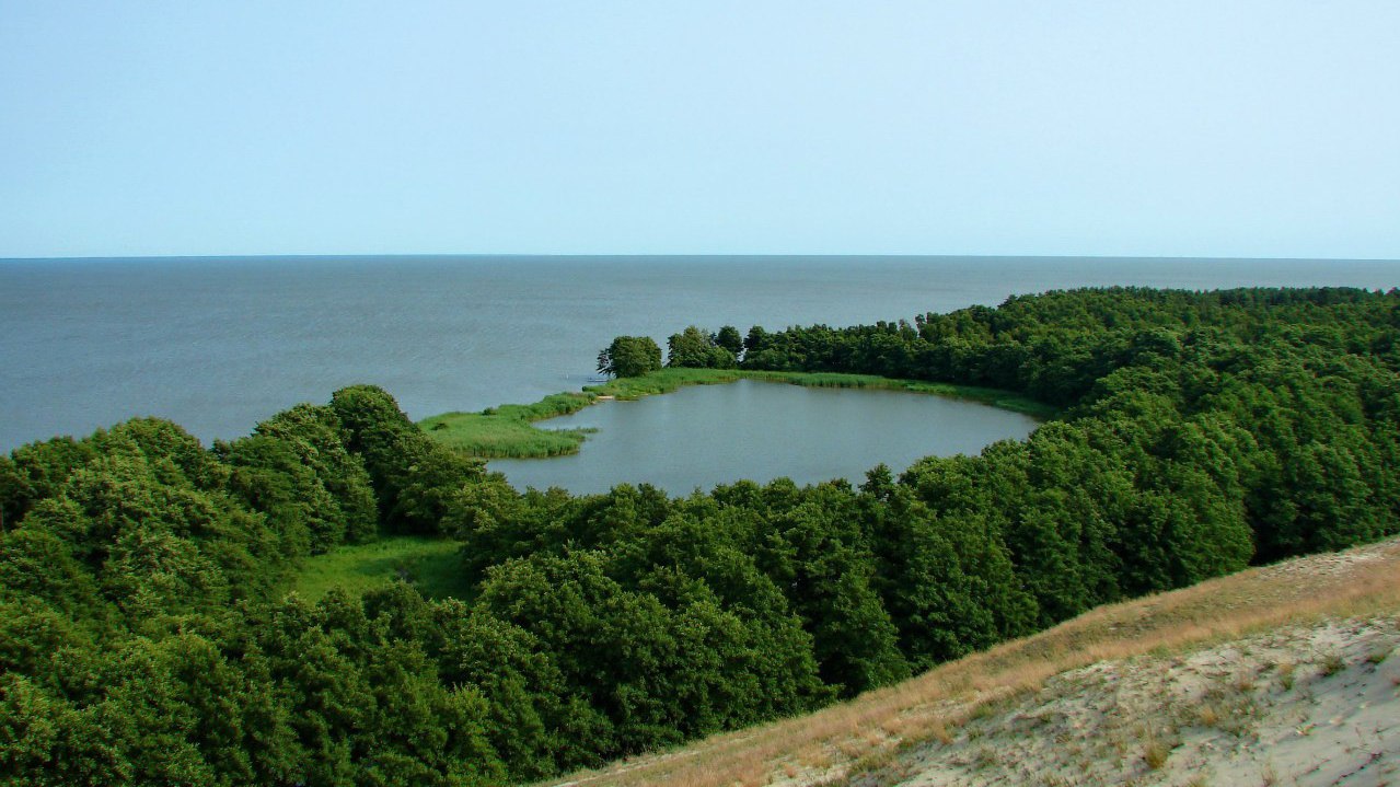 озеро Лебедь Куршская коса. Фото - Нармиэль Среднеземский